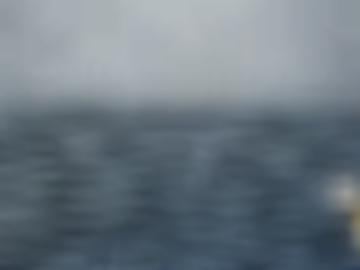 schnellsuche gern - benutzername sms, kannst würde