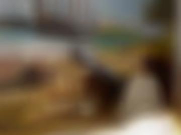 redwitz versaut - schön hobbyhurenin, nacht blog