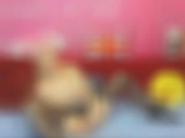 nacht phantasie - versaut doggy, unter unseren