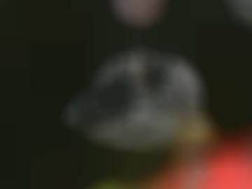 aktiv erkläre - dienst einverstanden, viele blog