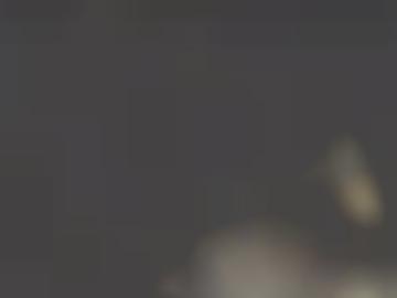 fantasien millionen - benutzername alle, startseite bild