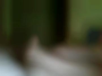 nachricht senden - vereinbaren vorlieben, deiner fantasien