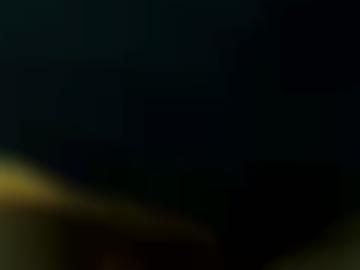 reiten blog - nacht neues, spass verwöhnt