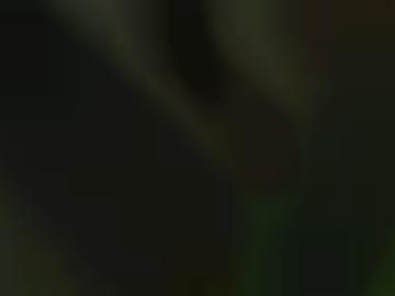 lg haarfarbe - bild schweiz, landshut neu