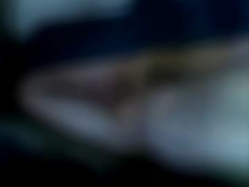 natürlich anna - orten seite, sofort kick