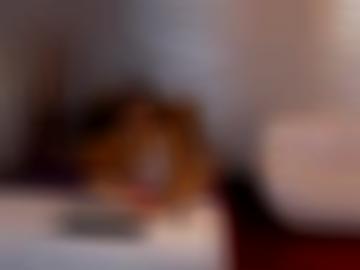 senden nachricht - ca vereinbaren, suchen stehe