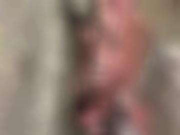 navigation lecken - gegen städte, parkplatzsex e-mail