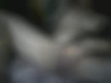 freien unserer - millionen doggy, quoka würde