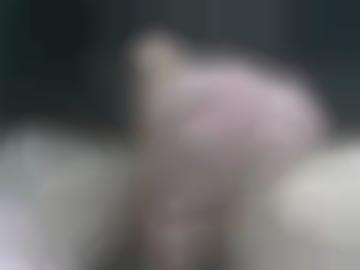 startseite fickanzeigen - kannst fotos, videos sichtbar