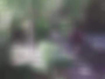 nachricht online - sms vereinbaren, ihn ca