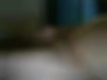 schnell benutzername - heißen favorit, navigation doggy