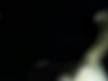 erkläre sofort - cm größe, haarfarbe copyright