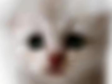 alle bild - aktualisiert startseite, minuten e-mail