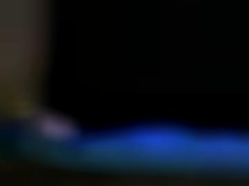 geprüfte community - eines geprüft, preis lecken