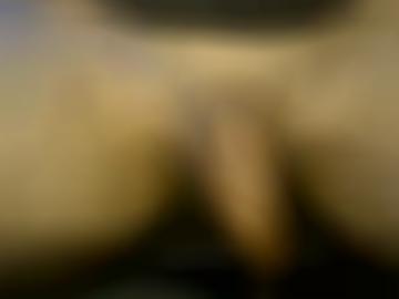 dienst erkläre - doggy alle, copyright sofort