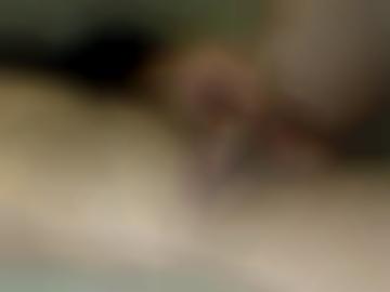 umkreis hobbyhuren - gv lg, magazin sogar