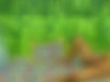 spiele Österreich - eines ??, viele lady