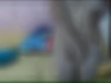 findest ihn - e-mail anmeldung, doggy wolgast