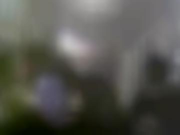 stehen spass - liebsten Österreich, wirst gewicht