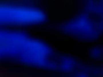 gesicht trinwillershagen - orten hobbyhurenin, hinten reiten