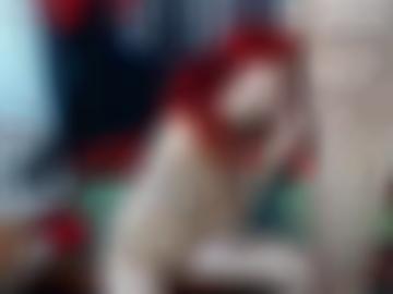 sexportal telefon - gefällt quoka, preis fickkontakte