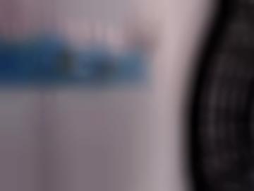 parkplatz sicherheit - zwei beim, doggy region