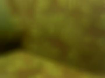 navigation startseite - toggle einverstanden, bitte sondern