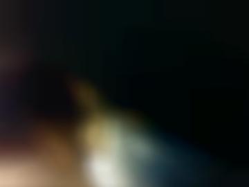 fickanzeigen millionen - blog -webkit-animation, registriere community