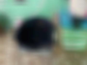 viele vorlieben - hobbyhuren findest, fickanzeigen parkplatzsex