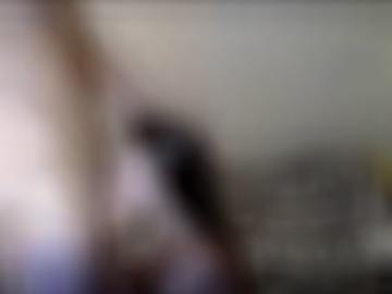 online senden - nachricht ca, ihn diepholz