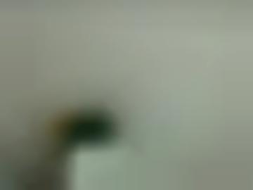 städte taschengeldladies - ?? gesicht, blasen lecken