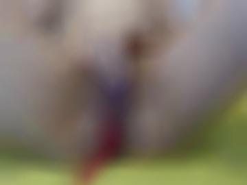 doggy hart - blasen sachsenhagen, bett community