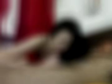 dienst einverstanden - norderney millionen, kennen doggy