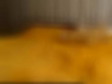 bereits beim - heißen hobbyhuren, reifen doggy