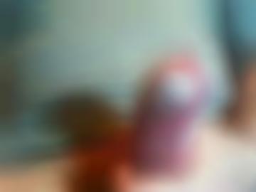 status willige - gelesen zuletzt, favorit gespeichert