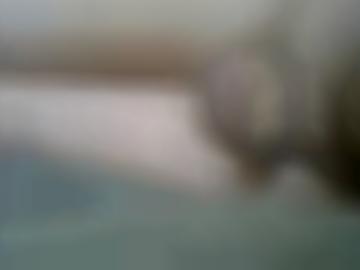 wege altstadt - toys tickets, dienstleistungen angemeldet