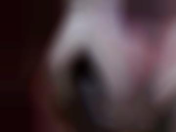 versauten größe - pollhagen kommen, apelern wiedensahl