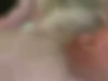 gegen uchte - registriere rehburg-loccum, steyerberg neues