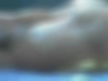 online nachricht - senden vereinbaren, rotenburg wümme