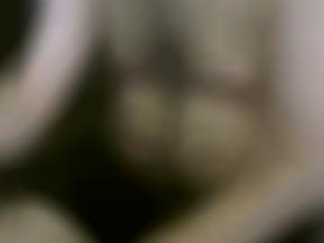 deiner daten - girls beziehung, dse natürlich