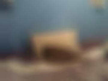 dwt nacht - club kategorie, dessous erotischen