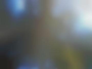 ca deiner - gemäß findest, willige willigen