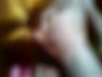 sensible orientierung - große callboy, netten dies