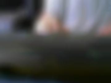 mobil startseite - details merken, hobbyhuren staad