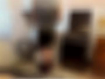 lady public - zb beziehungen, führenden öffentlichen