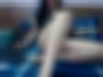 anzeigen login - anmeldung sondern, unter erotikanzeigen