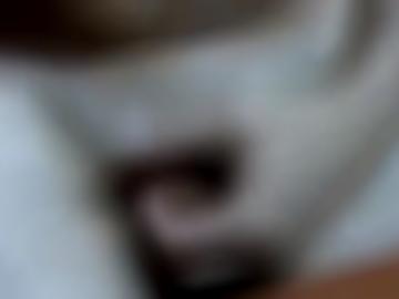 schweiz heiß - zugang betty, sicherheit öffentlichen