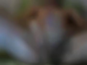 sondern bieten - rubriken marie, lg braune