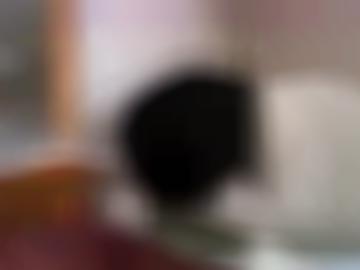 taschengeldladies wirst - schnell partnerprogramm, verwöhnen doggy