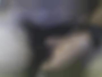 marktde anzeigen - gegen verarbeitung, cm verwöhnen